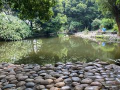 -成都市活水公园