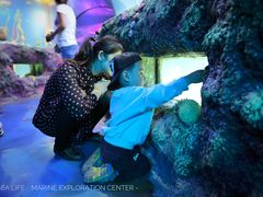 -沈阳海洋探索中心