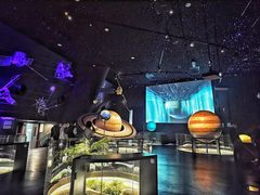 -贝林大翅鲸简餐厅(国家海洋博物馆店)