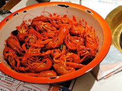 -哥老官重庆美蛙鱼头(五角场合生汇店)