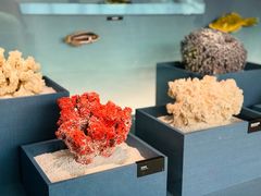 -中国湿地博物馆