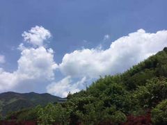 -溪口-滕头旅游景区