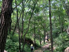 -大岭沟猕猴桃谷风景区