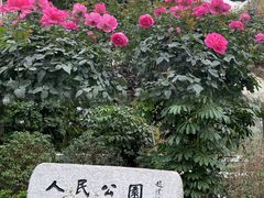 -人民公园(罗湖区)