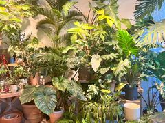 -自由生长植物工作室(深港花卉中心店)