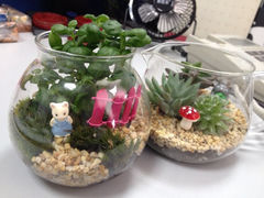 iphone_upload_pic-妃比花艺(光启城时尚购物中心店)