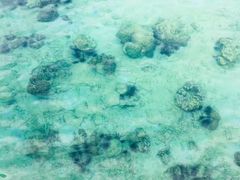 -东姑阿都拉曼海洋公园