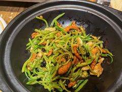 -鸽子窝(青塔店)