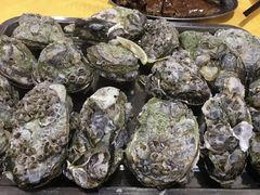 -蚝专家(北滘店)