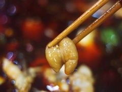 -烧哥美蛙肥肠鱼火锅·十五年社区店