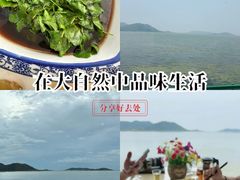 -湖山人家·湖景餐厅·特色农家菜(太湖西山店)