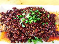-胖大姐黄辣丁鱼庄(新津店)
