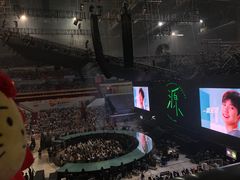 -南京奥林匹克体育中心-体育馆