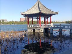 -济南大明湖景区