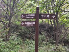 -阳台山自然风景区