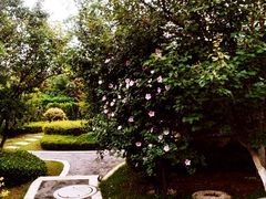 -大连金石滩绿发温泉假日酒店