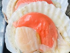 扇贝-丽江庭院之爱在路上(西单店)