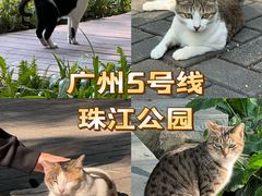 -广州珠江公园