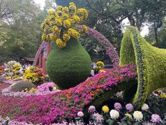 -杭州植物园