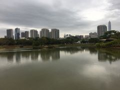 -福田红树林生态公园