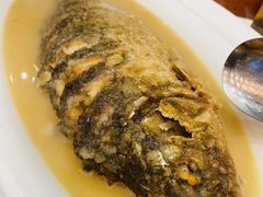 -阿庄新豫菜(航海东路店)