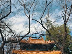 -北京国子监胡同