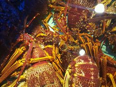 -金唐海鲜酒家