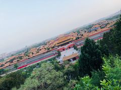 景点-景山公园