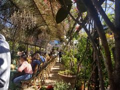 -The Grounds of Alexandria