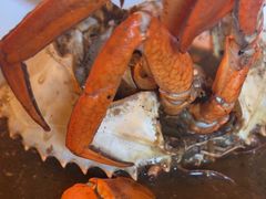 -Ministry of Crab(科伦坡店)