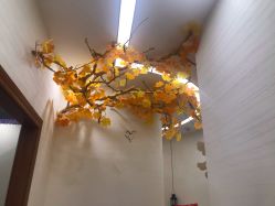 点击看大图 -芳朵美容养生SPA