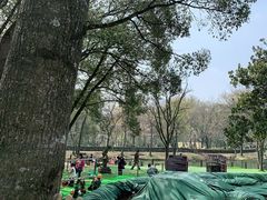 -WeLope紫金山探险公园