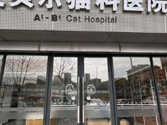 -艾贝尔宠物医院·24H转诊中心·肿瘤猫专科(江宁双龙店)