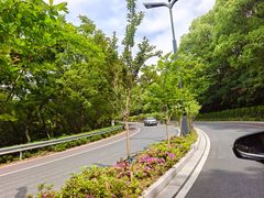 -平湖九龙山旅游度假区
