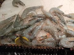 -吉布鲁牛排海鲜自助(温江合生汇店)