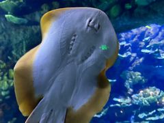 -欢乐海岸海洋奇梦馆