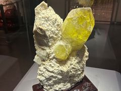 -湖南省地质博物馆