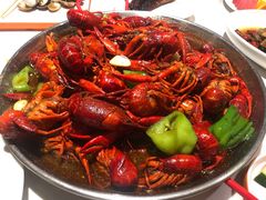 -杨氏青龙虾·羊蝎子(金盛路总店)