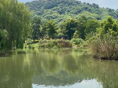 -西山漾湿地公园