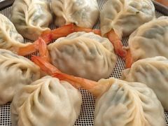 -小叶大馅饺子城