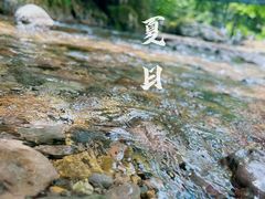 -龙苍沟森林公园