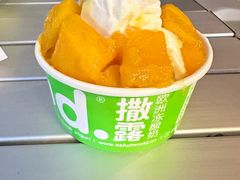 -Salud撒露欧洲冻酸奶(蓝色港湾店)