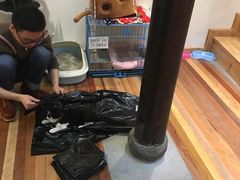 -猫的天空之城概念书店(杭州南宋御街店)