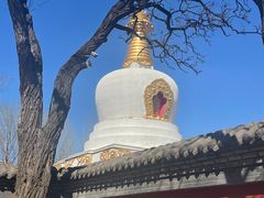 -护国法轮寺