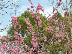 -梁鸿国家湿地公园