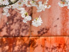 -龙美术馆(西岸馆)