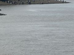 -平湖九龙山旅游度假区