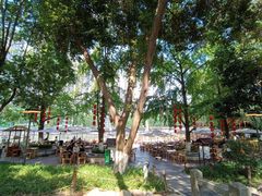 -成都市活水公园