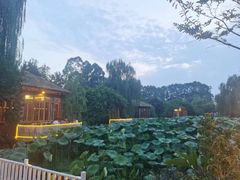 -白鹭湾湿地公园