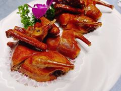 招牌秘制琵琶乳鸽-万圣禄茶楼(西平店)